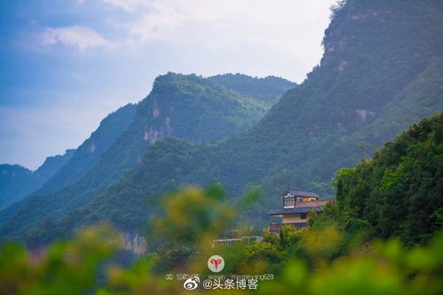 荆山中学，荆山小学