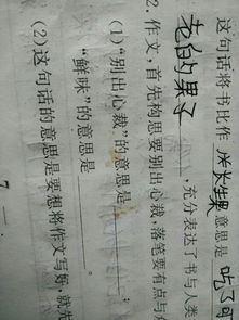 “别出心裁”是什么意思?