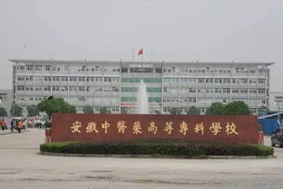 安徽专科院校录取分数线2023，安徽专科院校代码查询2023