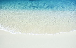 大海捞针是成语吗，大海捞针的拼音