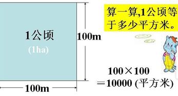 公顷和平方公里的换算关系，1公顷=多少平方千米