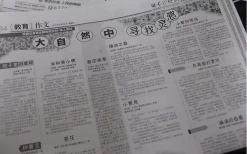 什么的力量作文400字，什么的力量作文800字