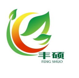 丰硕怎么读