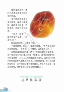 课文琥珀的主要内容，小学语文课文琥珀