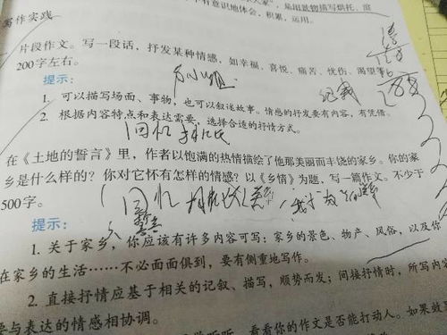 写乡情800字中考作文