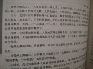 留住时光作文600字初中，留住时光作文600字初中生