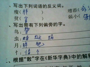 忄字旁的字五行属什么，忄字旁的字大多与什么有关系