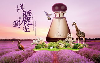 美丽的邂逅是什么意思?