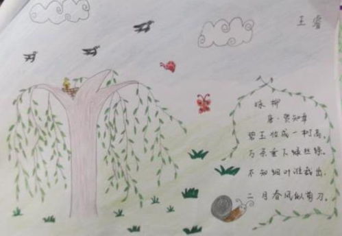 咏柳诗配画简单又好看,二年级下册，咏柳诗配画简单又好看六年级