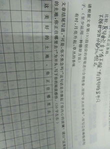 用排比的修辞手法造句六年级，用排比的修辞手法造句100字