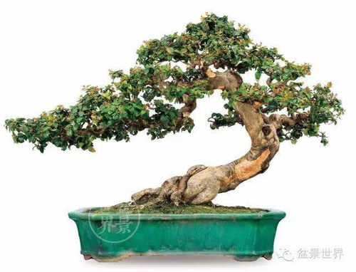 王国维《好事近·愁展翠罗衾》诗词赏析