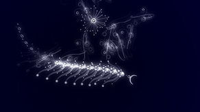 陈星汉浮游世界在哪儿玩
