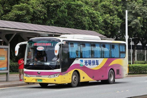 火车k579次列车怎么没有了