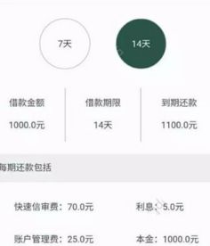 不查征信的借款平台百分百通过