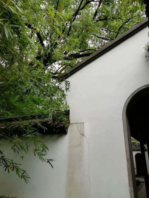 林暗草惊风