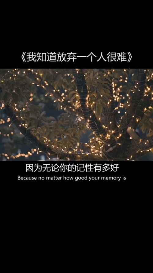 无论……总要……怎么造句?