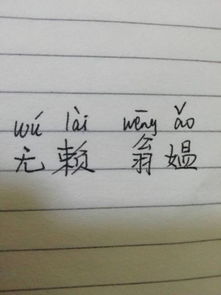 醉里吴音相媚好白发谁家翁媪的拼音，翁媪的拼音怎么写