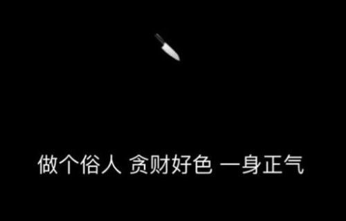 俗人昭昭,我独昏昏;俗人察察,我独闷闷什么意思，俗人昭昭