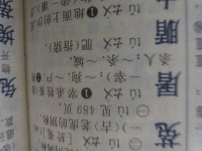 籍是多音字吗怎么组词，慰藉的拼音