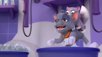 paw patrol，paw3395