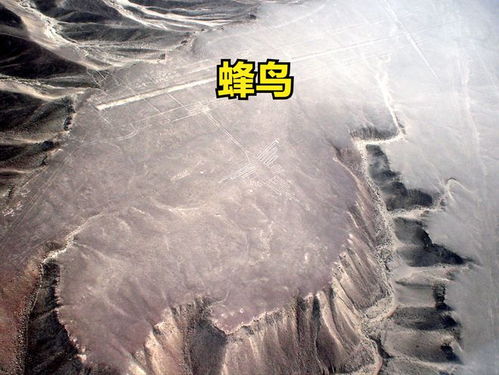 纳斯卡巨画游戏规则，纳斯卡巨画游戏规则玩法