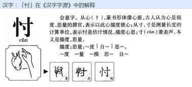 竖心旁,右边一个寸,是什么字
