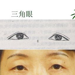 三角眼图片，三角眼的女人面相解析