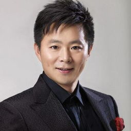 宁夏王宏伟个人资料，平顶山王宏伟个人资料