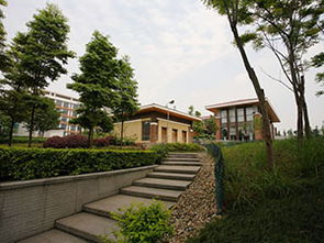 龙泉山桃花开了吗?交通攻略