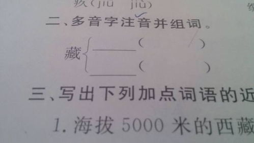 藏拼音怎么读，藏着拼音
