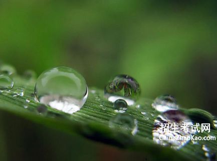 用晶莹怎么造句