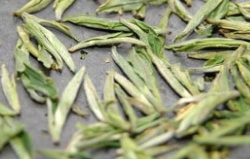 龙芽茶，龙芽茉绿