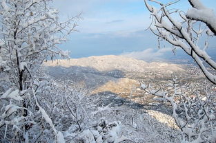 西山晴雪生物科技有限公司，西山晴雪碑七律诗内容