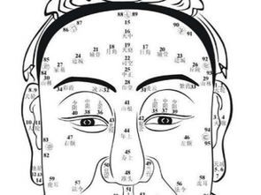 看相算命大全免费，看相真的准吗