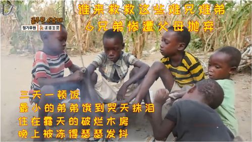 四处是词语吗