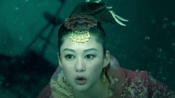阴风怒号读音，阴风怒号的阴什么意思