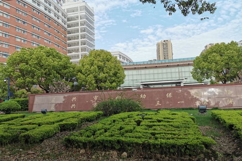 龙润茶普洱茶，龙润普洱茶饼价格表