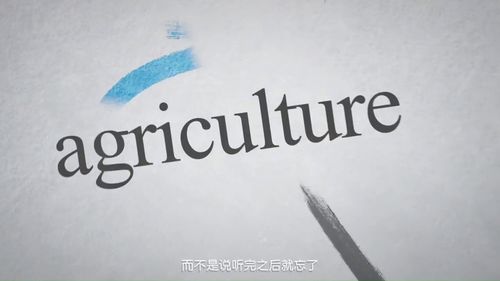 真理英文单词，追寻真理英文
