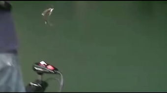 baitfinesse是什么意思