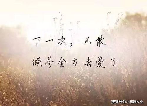 的军嫂在日常生活中有哪些普通妻子理解不了的心酸?