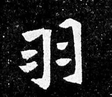 翼的组词，翼的组词2个字