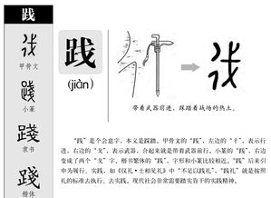 践组词和拼音和部首，跟组词
