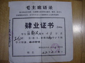 肄业读音是什么