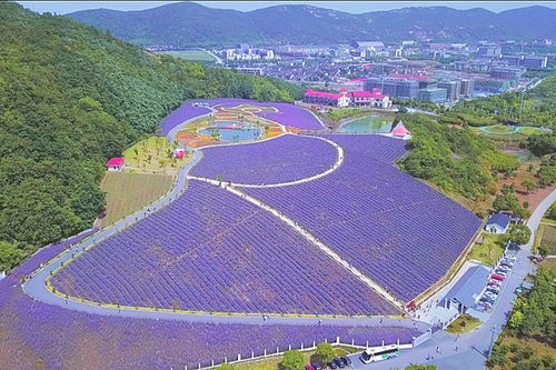 hectares怎么读，hectares of land 谓语