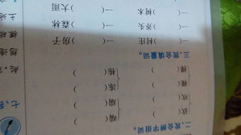 宽组词。