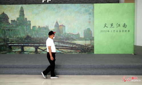 province是什么意思英语，Provice是什么意思