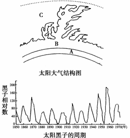 请教一下生物:什么是配子?