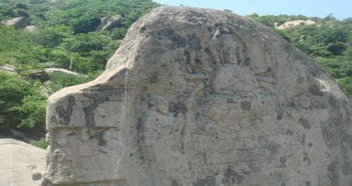 未来十五天天气预报