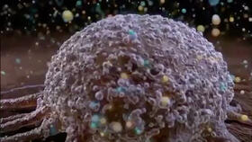 exosomes，美燕exosome