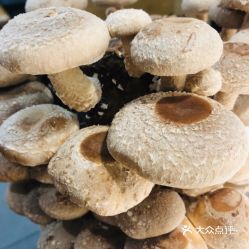 顶真是什么意思